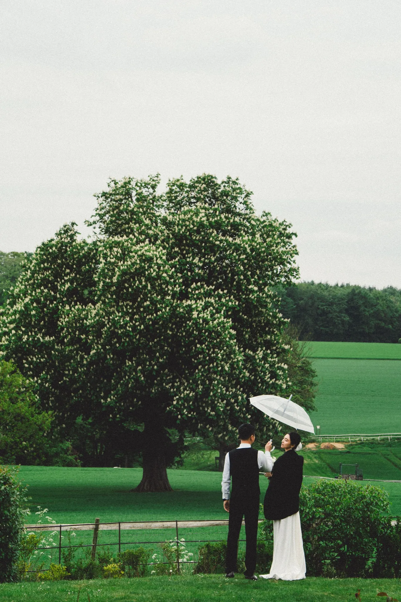 The umbrella flew; the vows carried on., frame 1